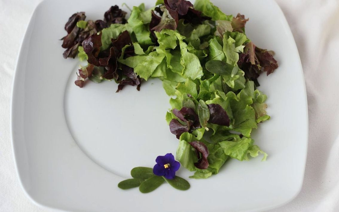 Un plato blanco con ensalada verde abundante, proteína y vinagreta dorada brillando sobre las hojas.
